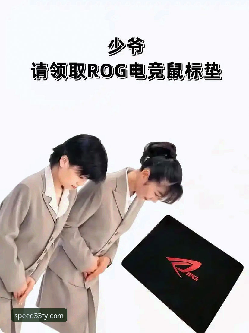 33体育平台v4.1.0使用评测：从注册到实战的全面操作指南